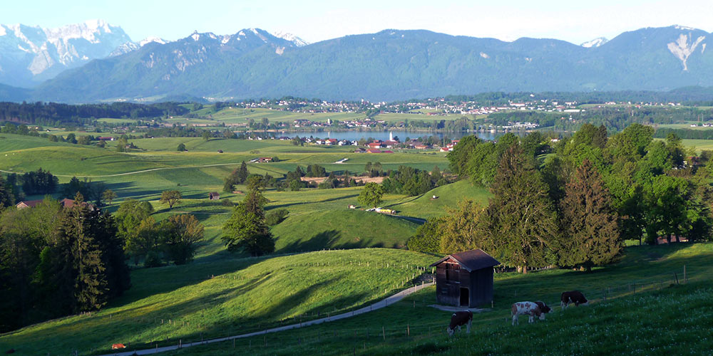 Ferienwohnungen Blaues Land Riegsee Ferienwohnungen Blaues Land Riegsee